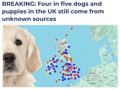 Naturewatch estimates that 80% of puppies come from unlicensed, illegal or otherwise unknown sources