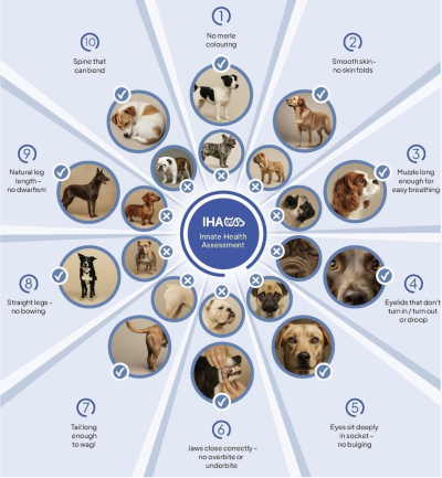 Innate Health Assessment (IHA) tool for Dogs