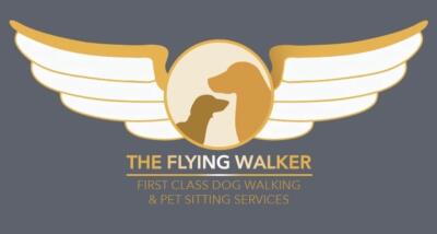 Image for The Flying Walker