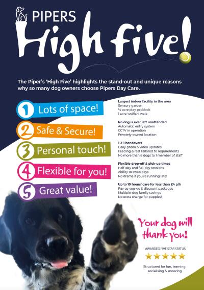 Image for Pipers Dog Day Care