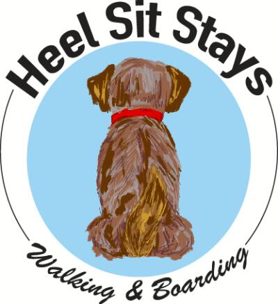 Image for Heel Sit Stays